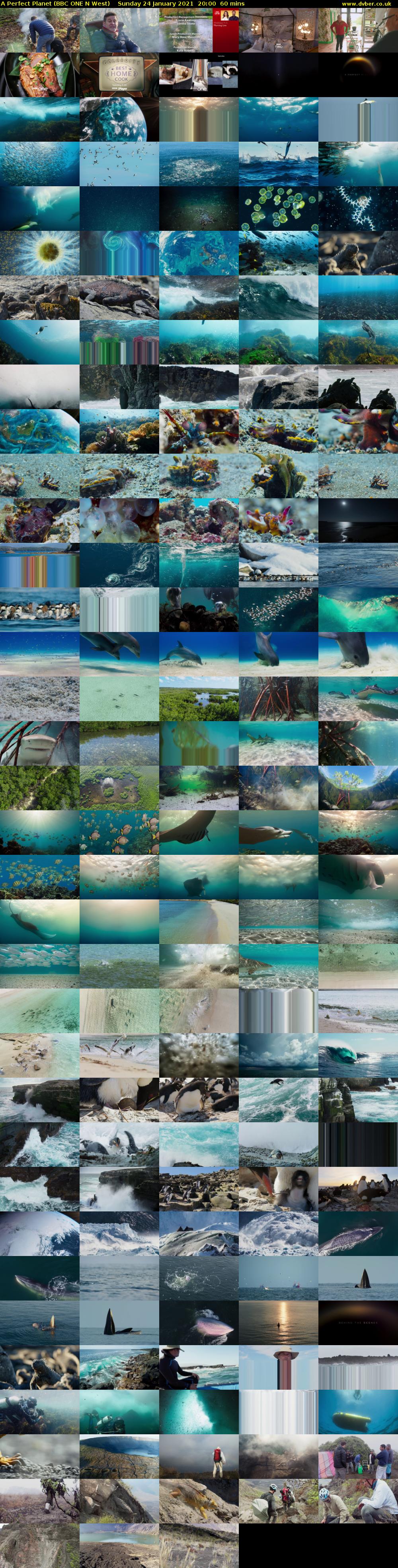 A Perfect Planet (BBC ONE N West) Sunday 24 January 2021 20:00 - 21:00