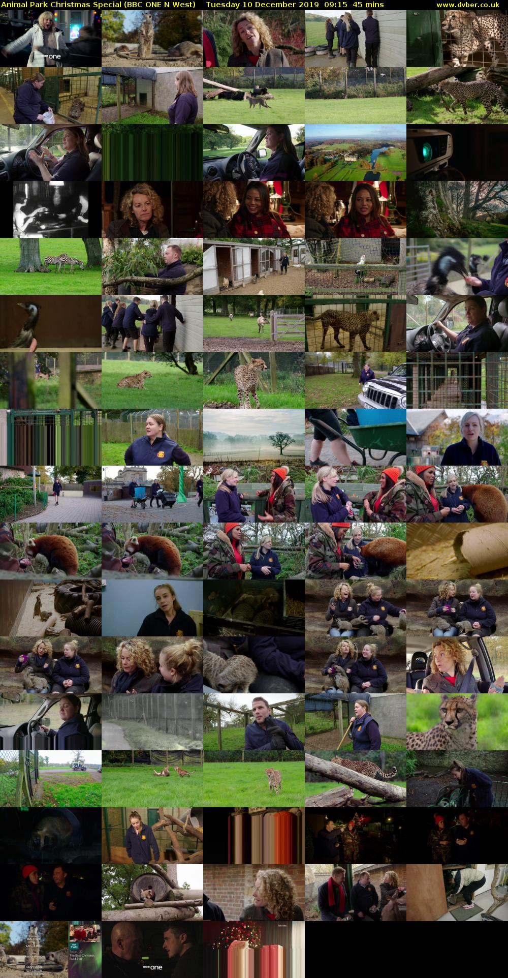 Animal Park Christmas Special (BBC ONE N West) Tuesday 10 December 2019 09:15 - 10:00
