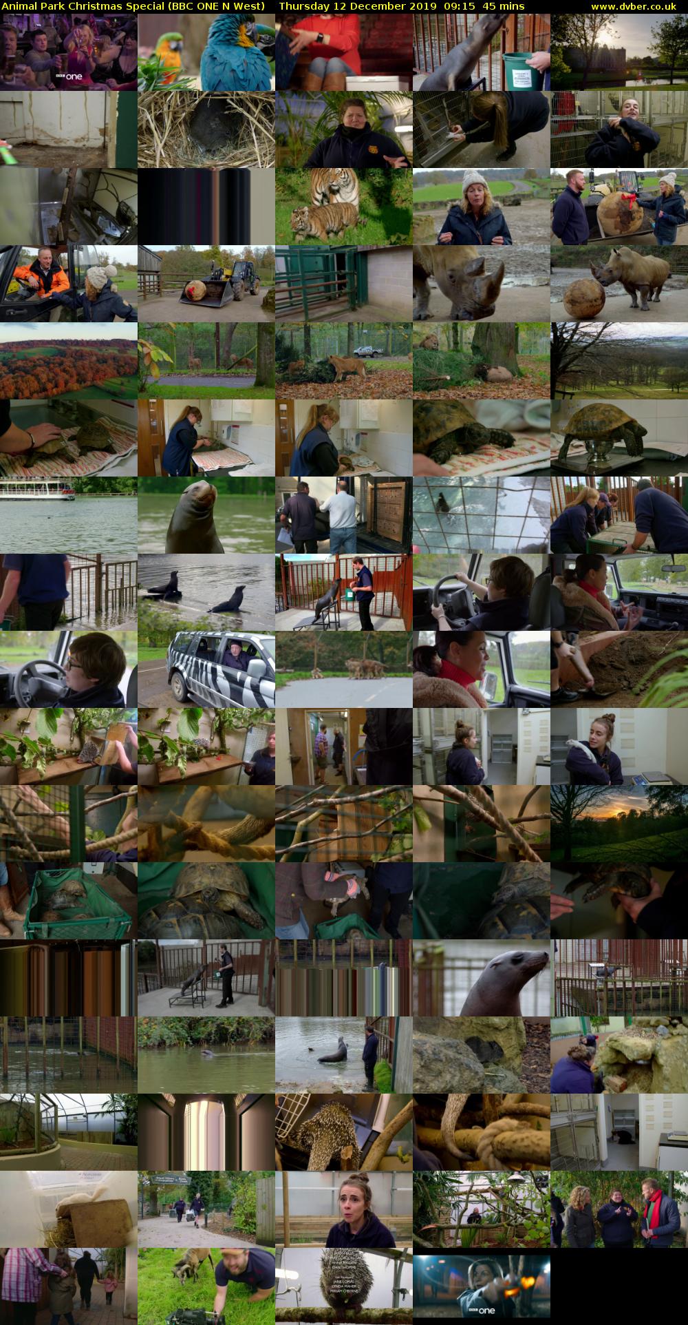 Animal Park Christmas Special (BBC ONE N West) Thursday 12 December 2019 09:15 - 10:00