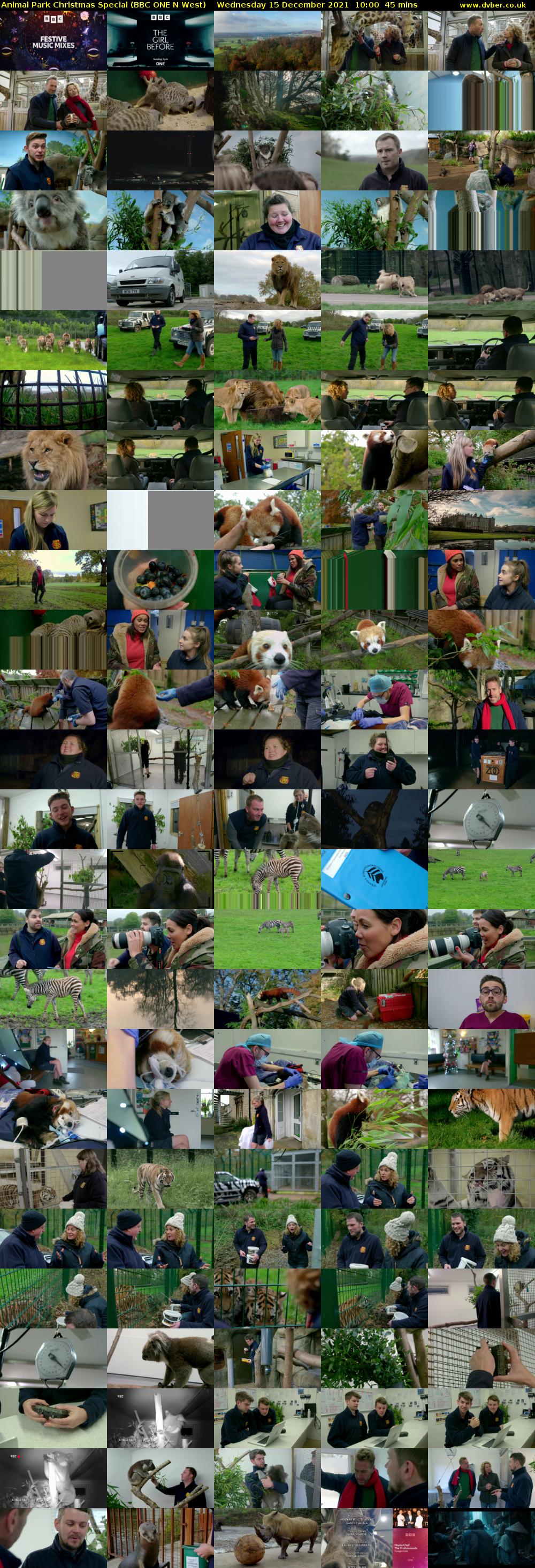 Animal Park Christmas Special (BBC ONE N West) Wednesday 15 December 2021 10:00 - 10:45