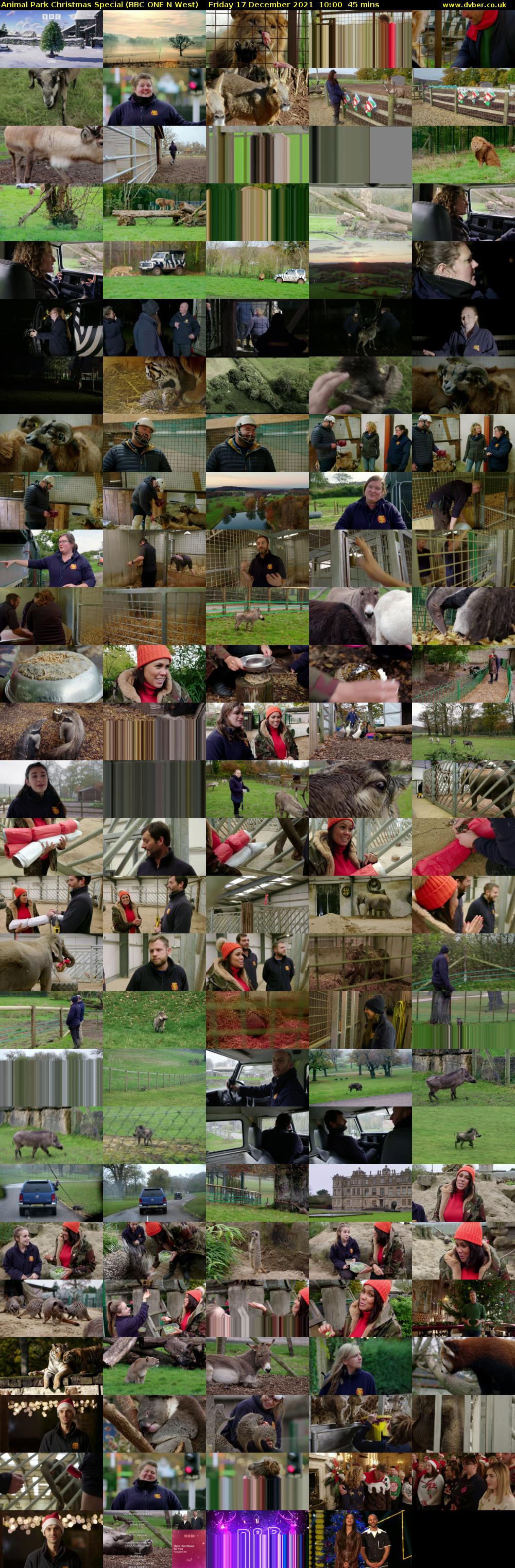 Animal Park Christmas Special (BBC ONE N West) Friday 17 December 2021 10:00 - 10:45