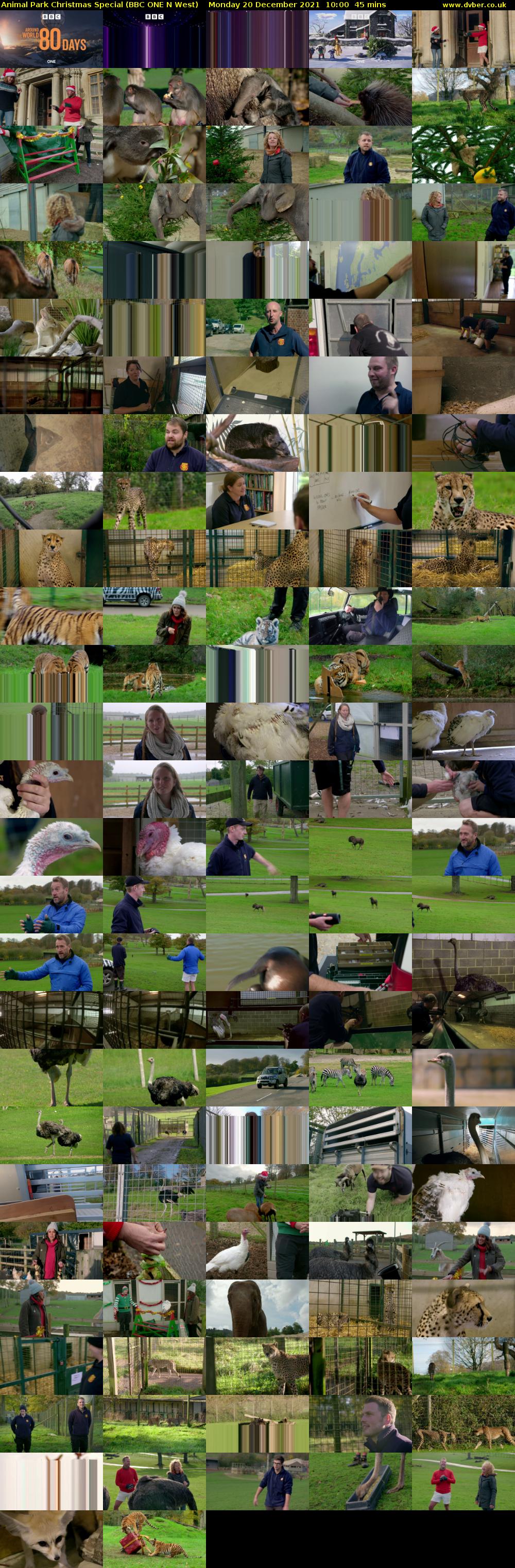 Animal Park Christmas Special (BBC ONE N West) Monday 20 December 2021 10:00 - 10:45
