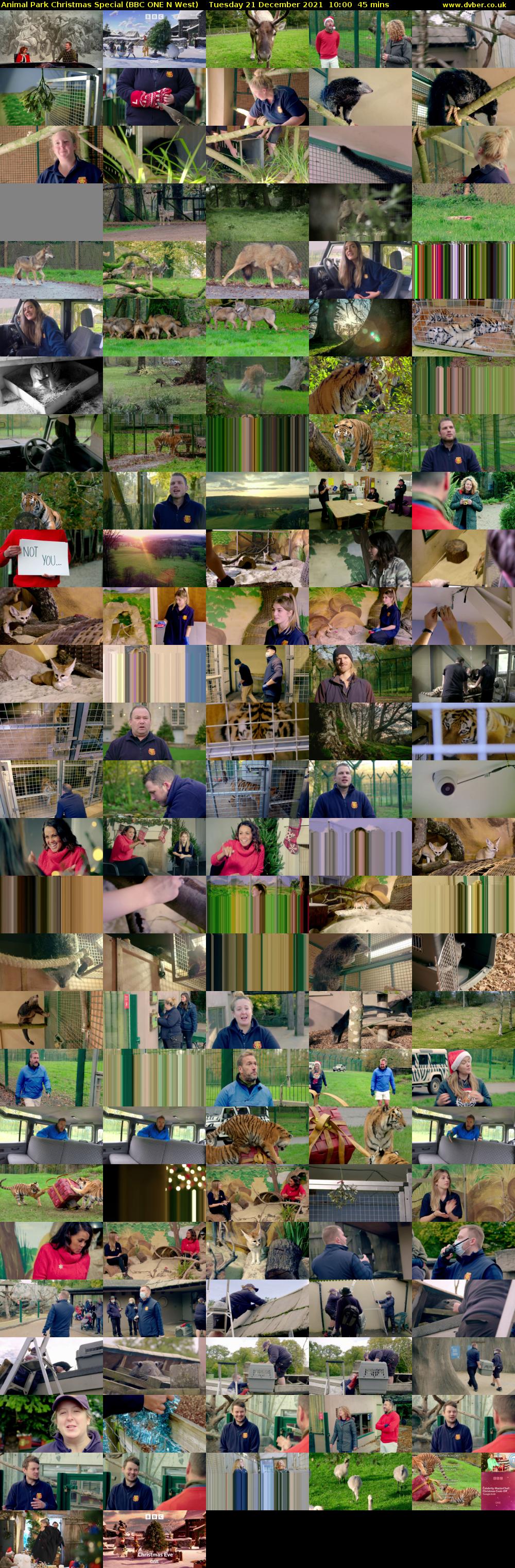 Animal Park Christmas Special (BBC ONE N West) Tuesday 21 December 2021 10:00 - 10:45