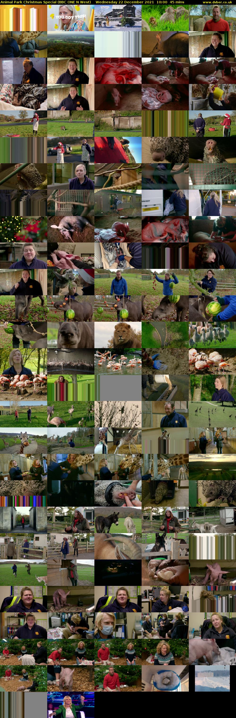 Animal Park Christmas Special (BBC ONE N West) Wednesday 22 December 2021 10:00 - 10:45