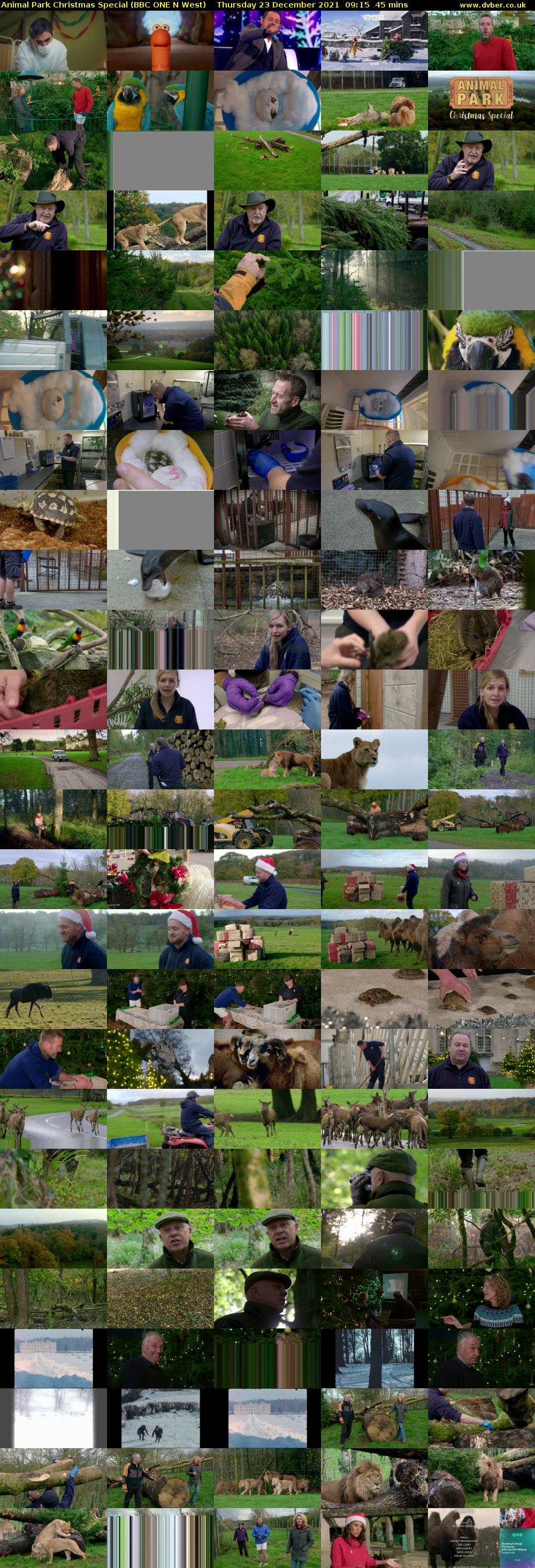 Animal Park Christmas Special (BBC ONE N West) Thursday 23 December 2021 09:15 - 10:00