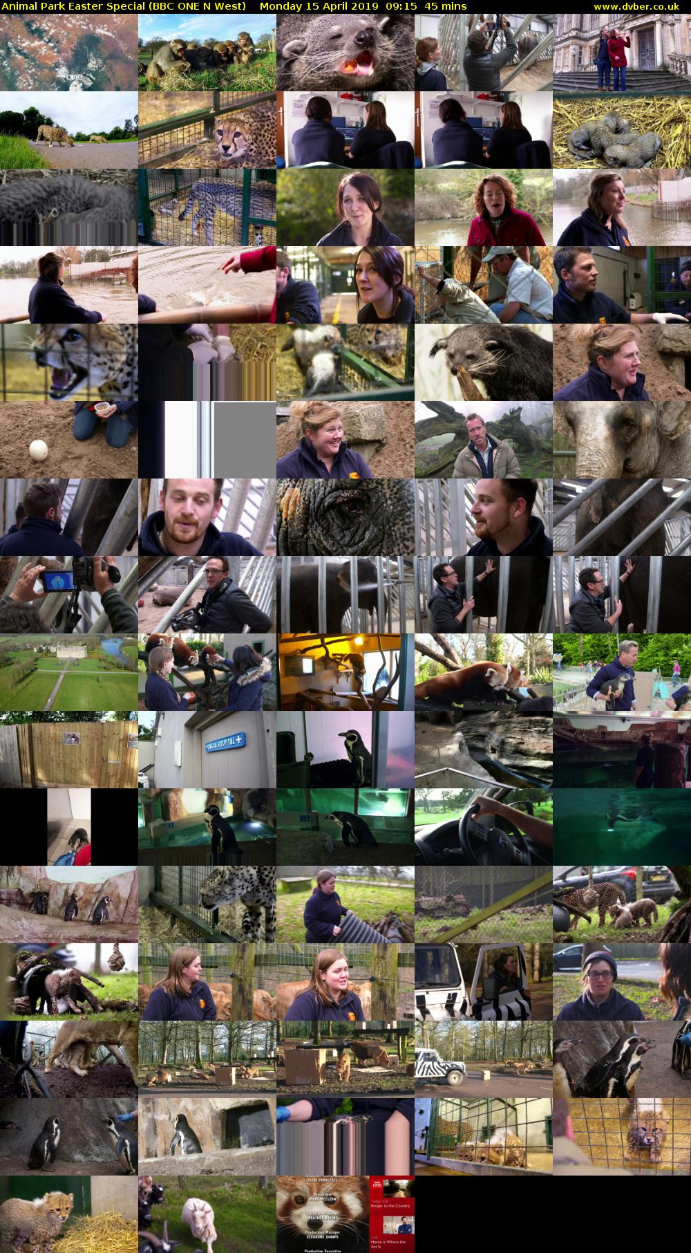 Animal Park Easter Special (BBC ONE N West) Monday 15 April 2019 09:15 - 10:00