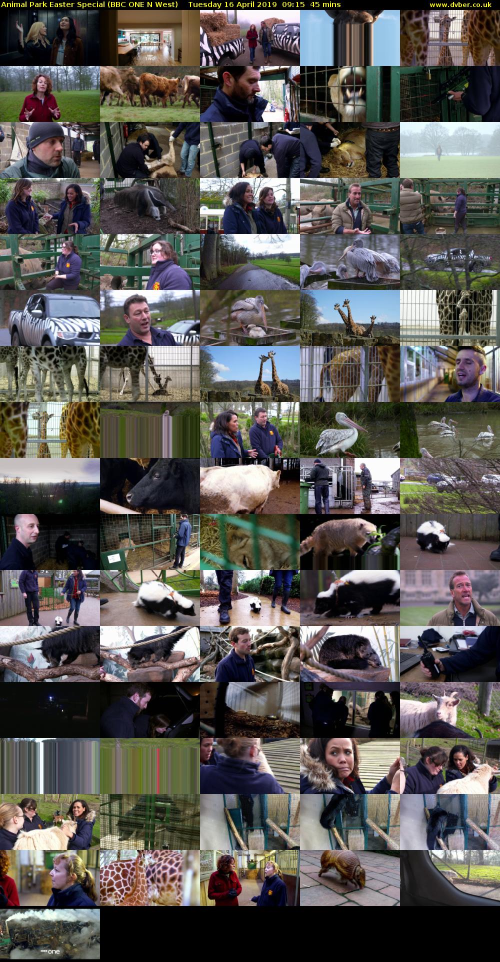 Animal Park Easter Special (BBC ONE N West) Tuesday 16 April 2019 09:15 - 10:00