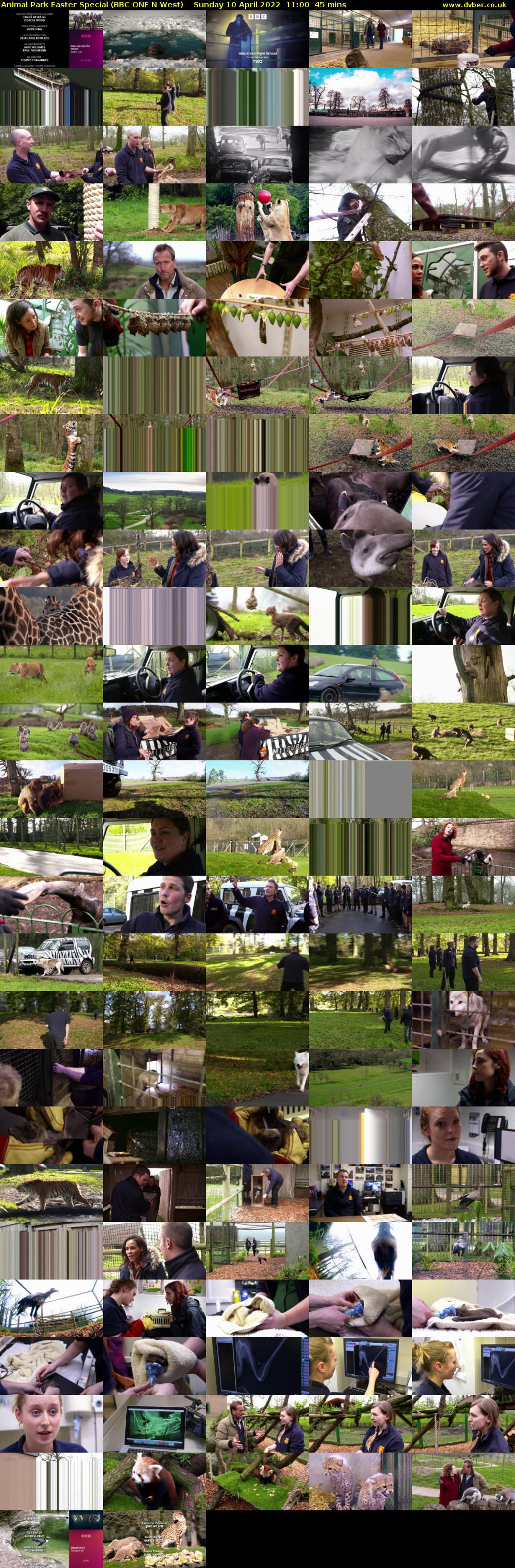 Animal Park Easter Special (BBC ONE N West) Sunday 10 April 2022 11:00 - 11:45