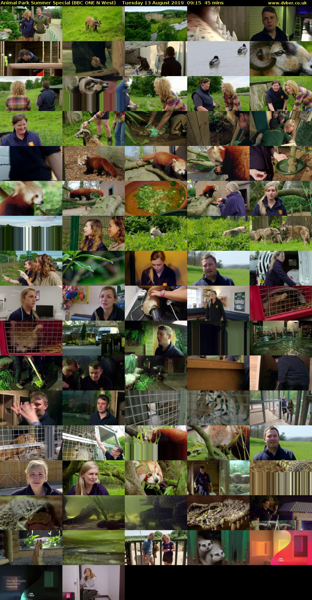 Animal Park Summer Special (BBC ONE N West) Tuesday 13 August 2019 09:15 - 10:00