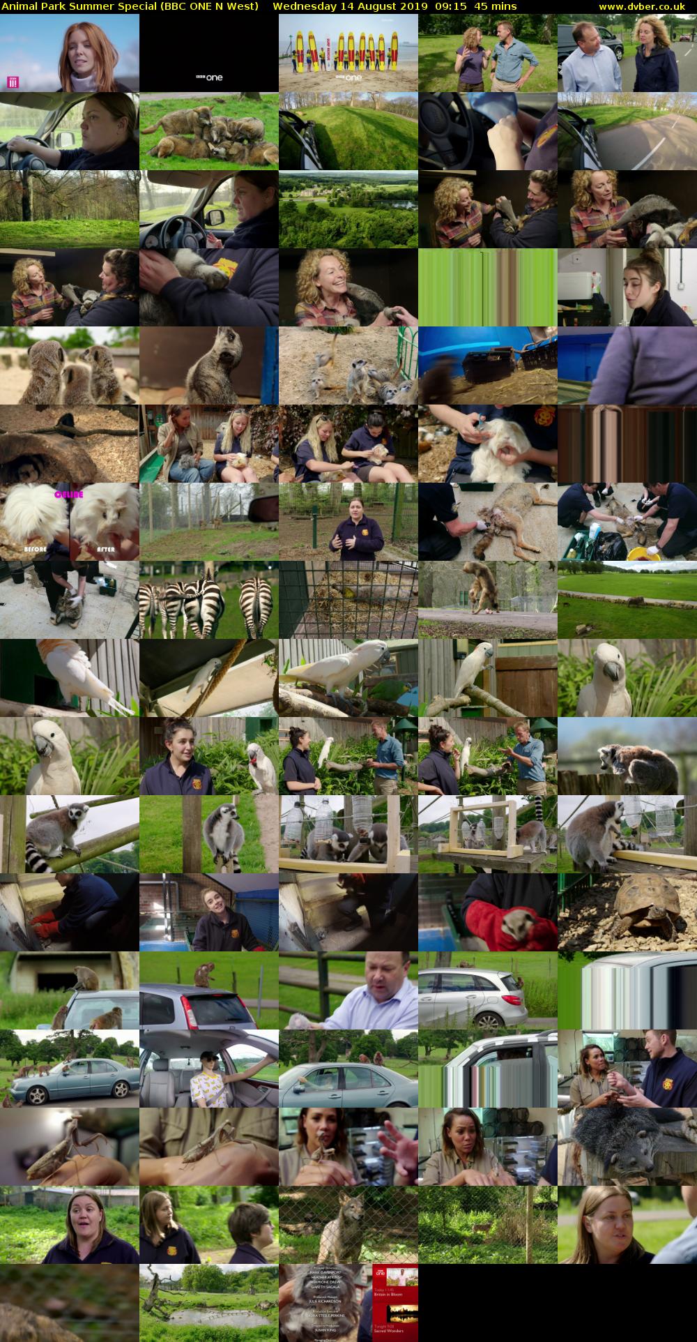 Animal Park Summer Special (BBC ONE N West) Wednesday 14 August 2019 09:15 - 10:00