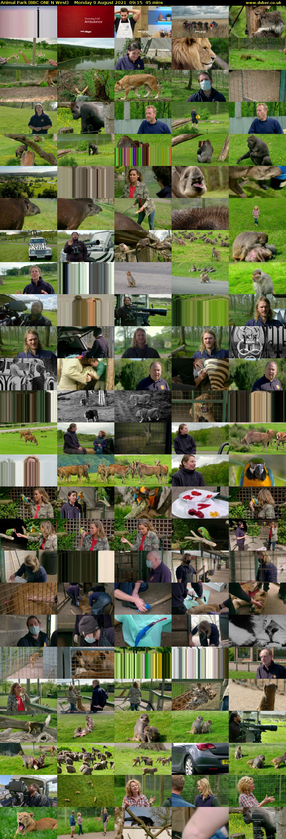 Animal Park (BBC ONE N West) Monday 9 August 2021 09:15 - 10:00