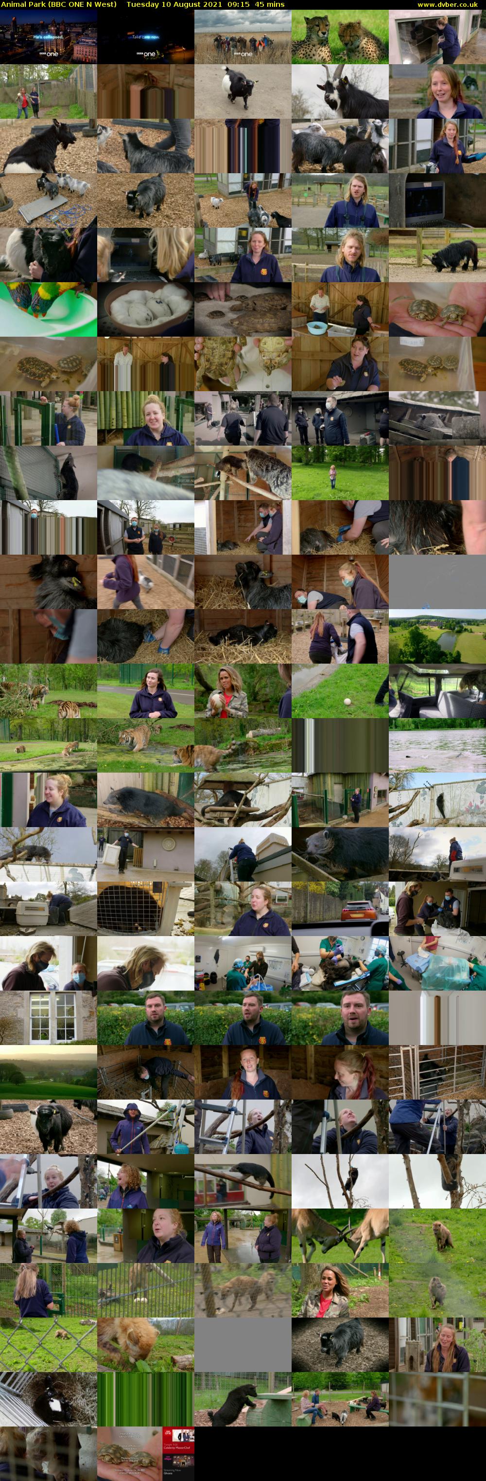 Animal Park (BBC ONE N West) Tuesday 10 August 2021 09:15 - 10:00