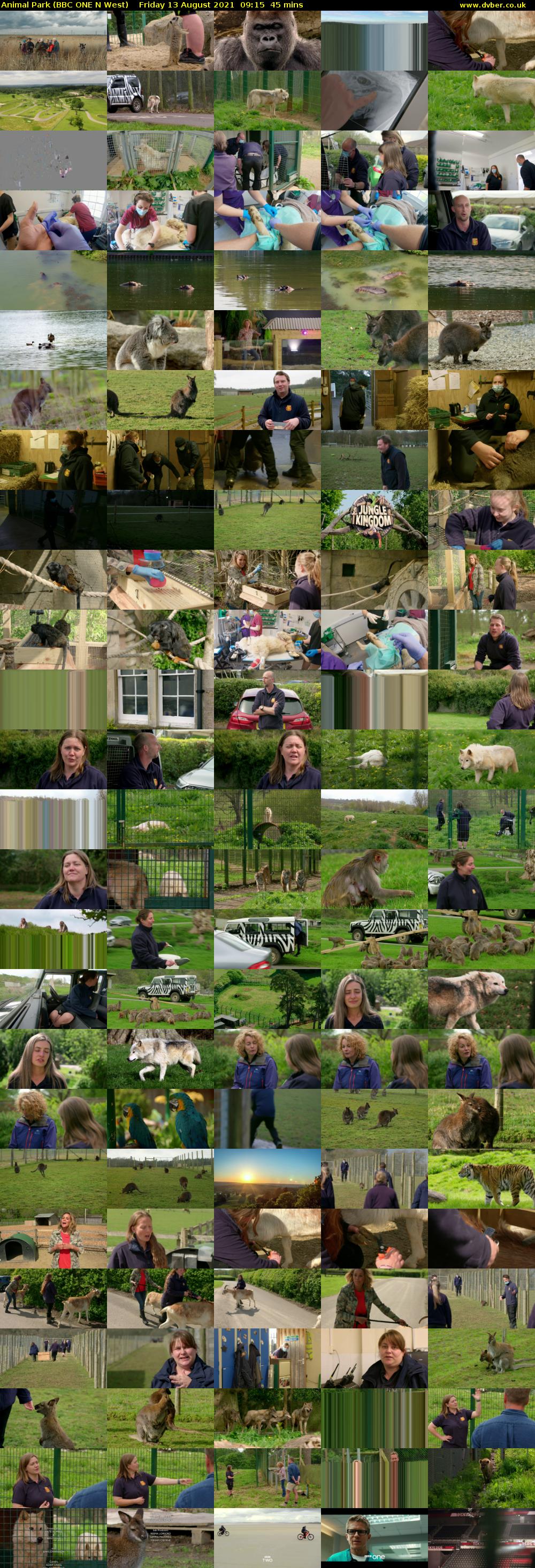 Animal Park (BBC ONE N West) Friday 13 August 2021 09:15 - 10:00