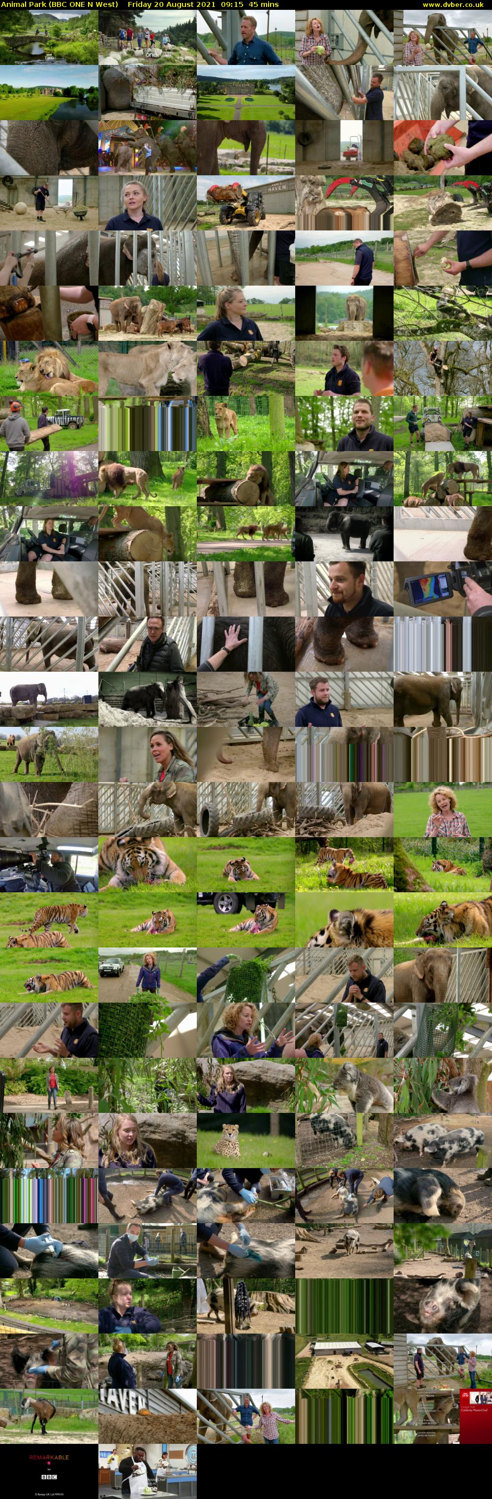 Animal Park (BBC ONE N West) Friday 20 August 2021 09:15 - 10:00