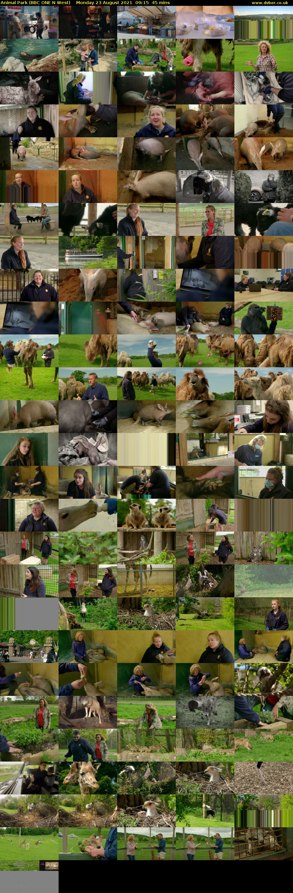 Animal Park (BBC ONE N West) Monday 23 August 2021 09:15 - 10:00