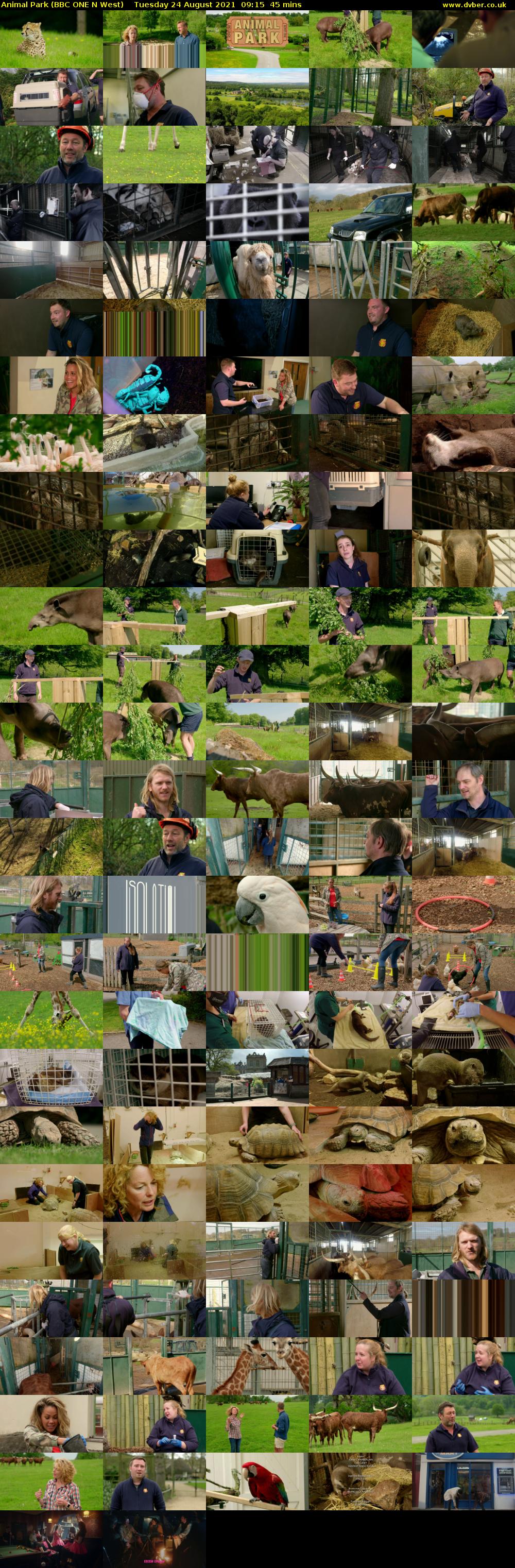 Animal Park (BBC ONE N West) Tuesday 24 August 2021 09:15 - 10:00