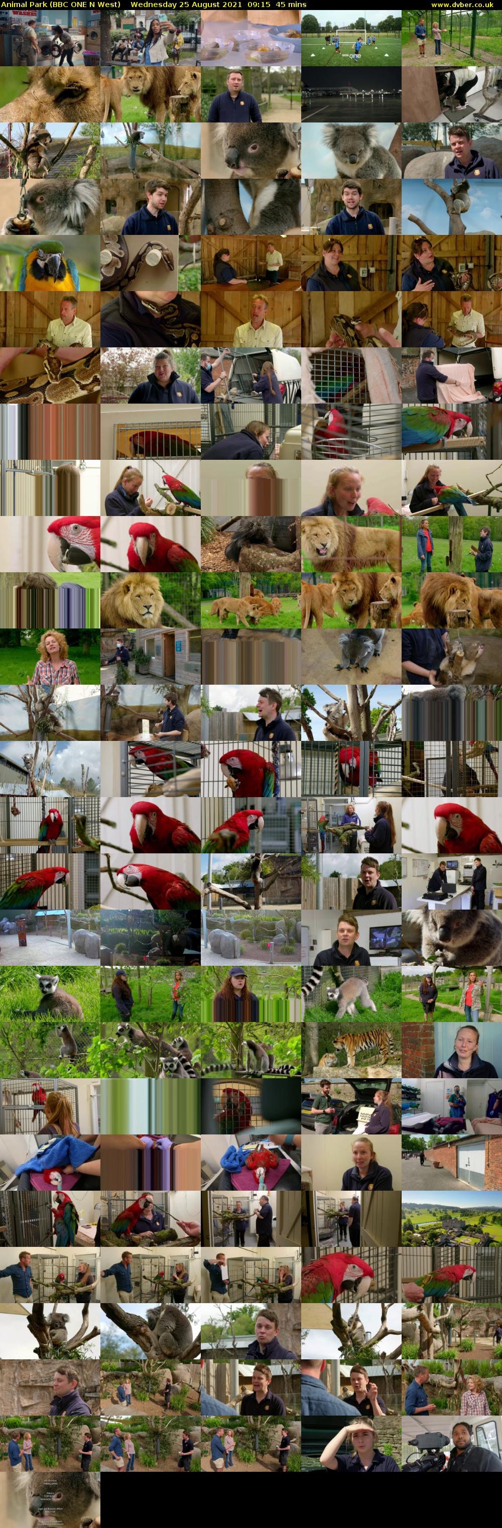 Animal Park (BBC ONE N West) Wednesday 25 August 2021 09:15 - 10:00