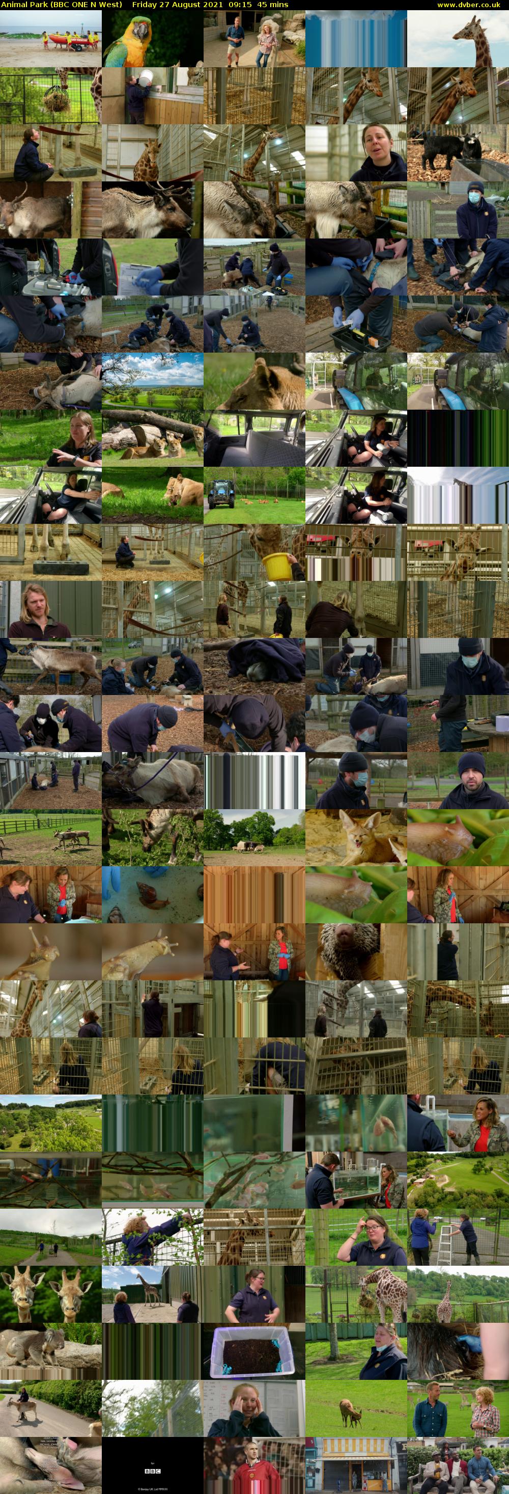 Animal Park (BBC ONE N West) Friday 27 August 2021 09:15 - 10:00