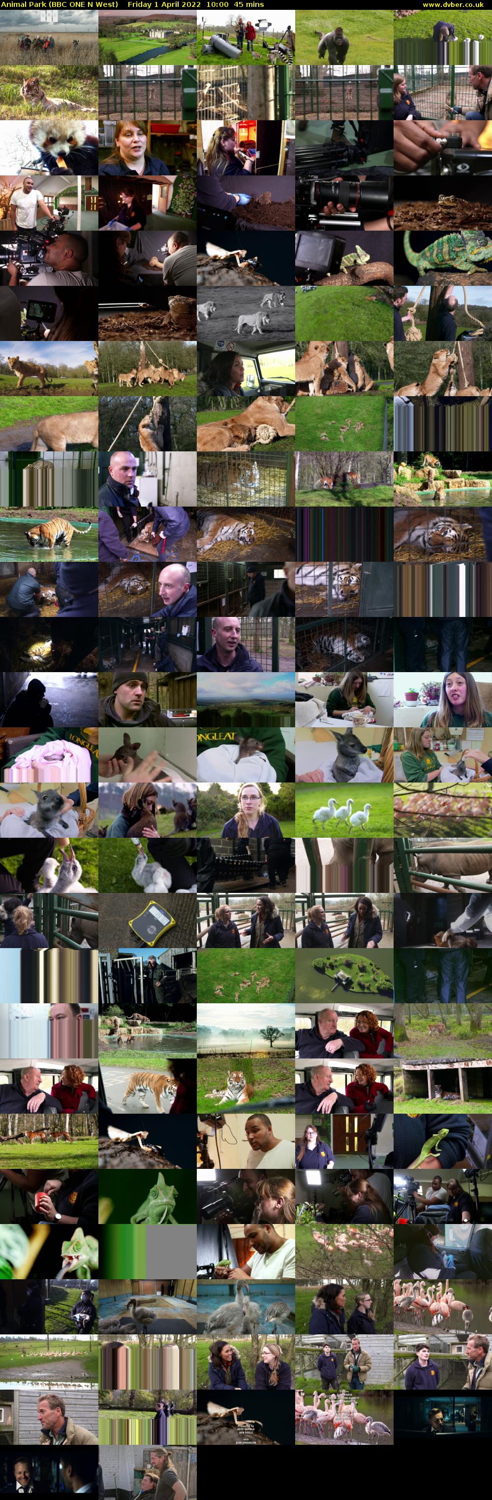 Animal Park (BBC ONE N West) Friday 1 April 2022 10:00 - 10:45