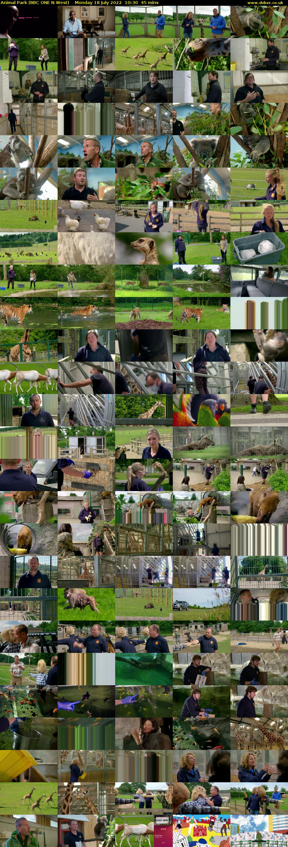 Animal Park (BBC ONE N West) Monday 18 July 2022 10:30 - 11:15
