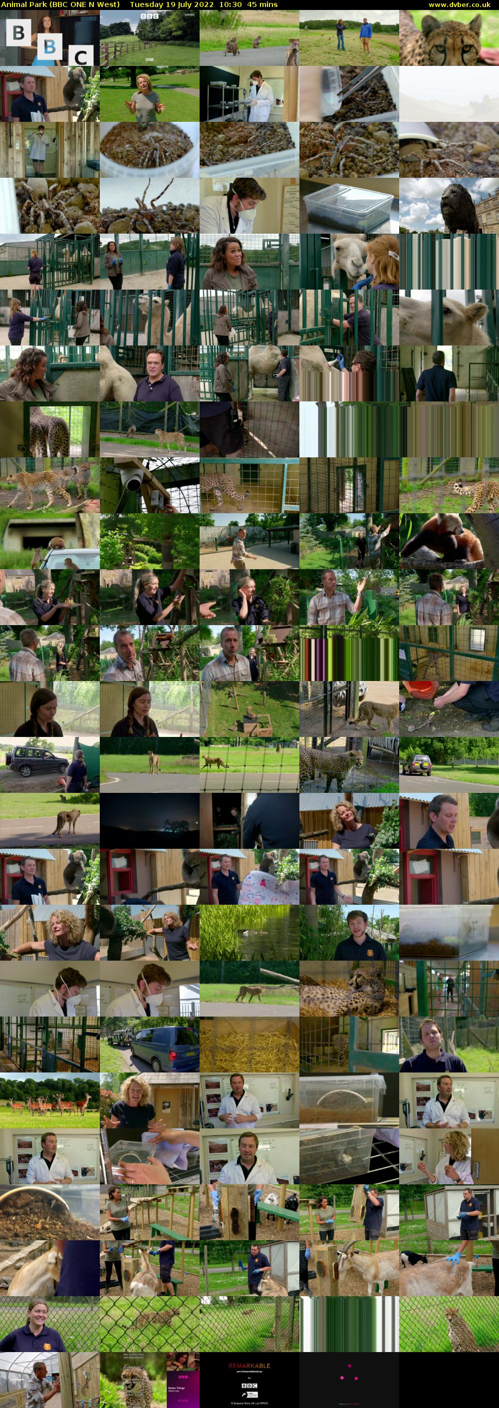 Animal Park (BBC ONE N West) Tuesday 19 July 2022 10:30 - 11:15
