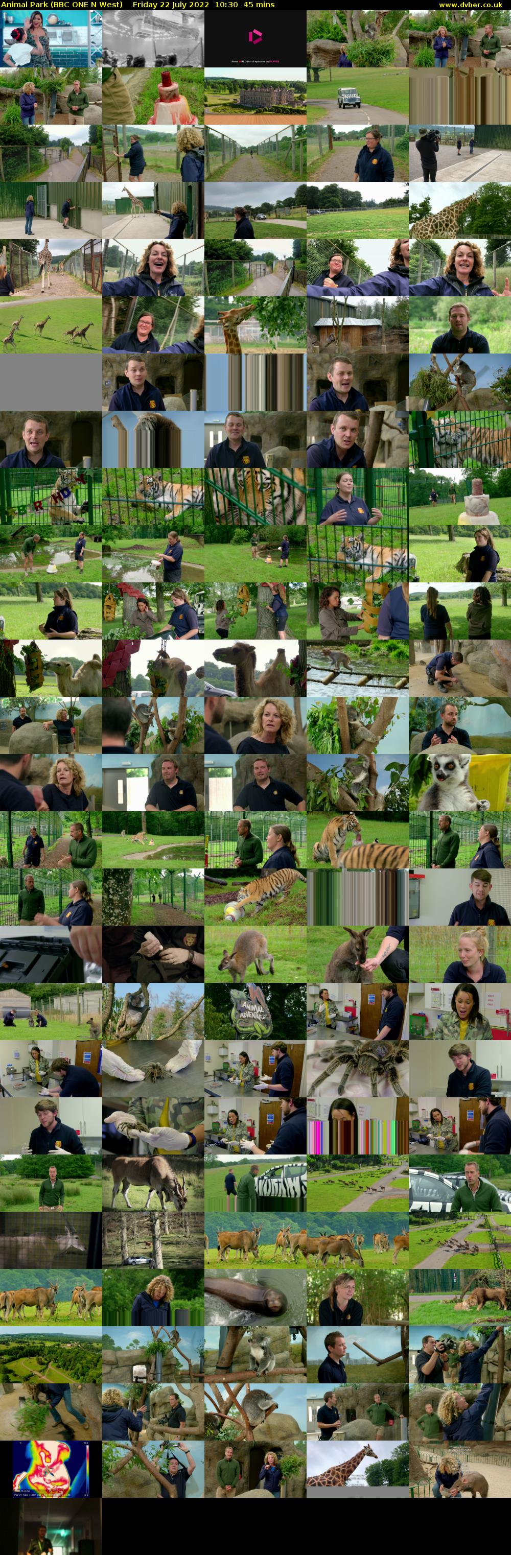 Animal Park (BBC ONE N West) Friday 22 July 2022 10:30 - 11:15