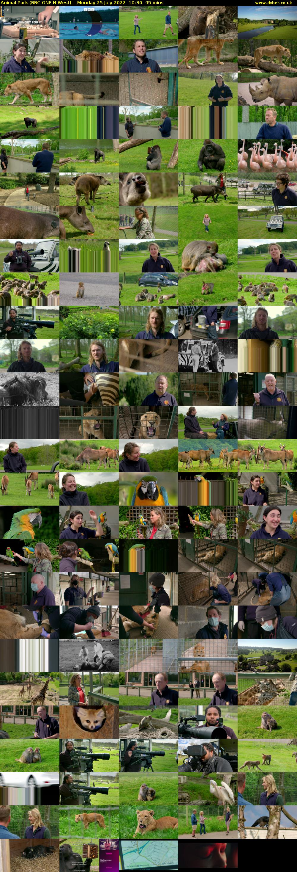 Animal Park (BBC ONE N West) Monday 25 July 2022 10:30 - 11:15