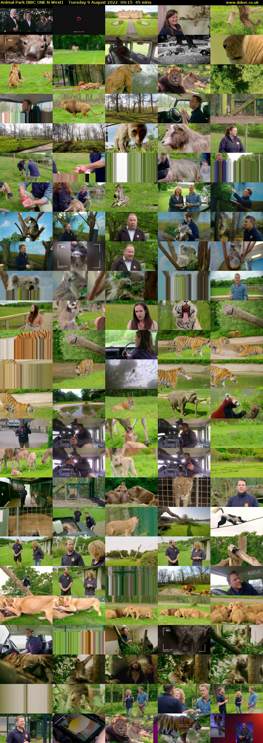 Animal Park (BBC ONE N West) Tuesday 9 August 2022 09:15 - 10:00