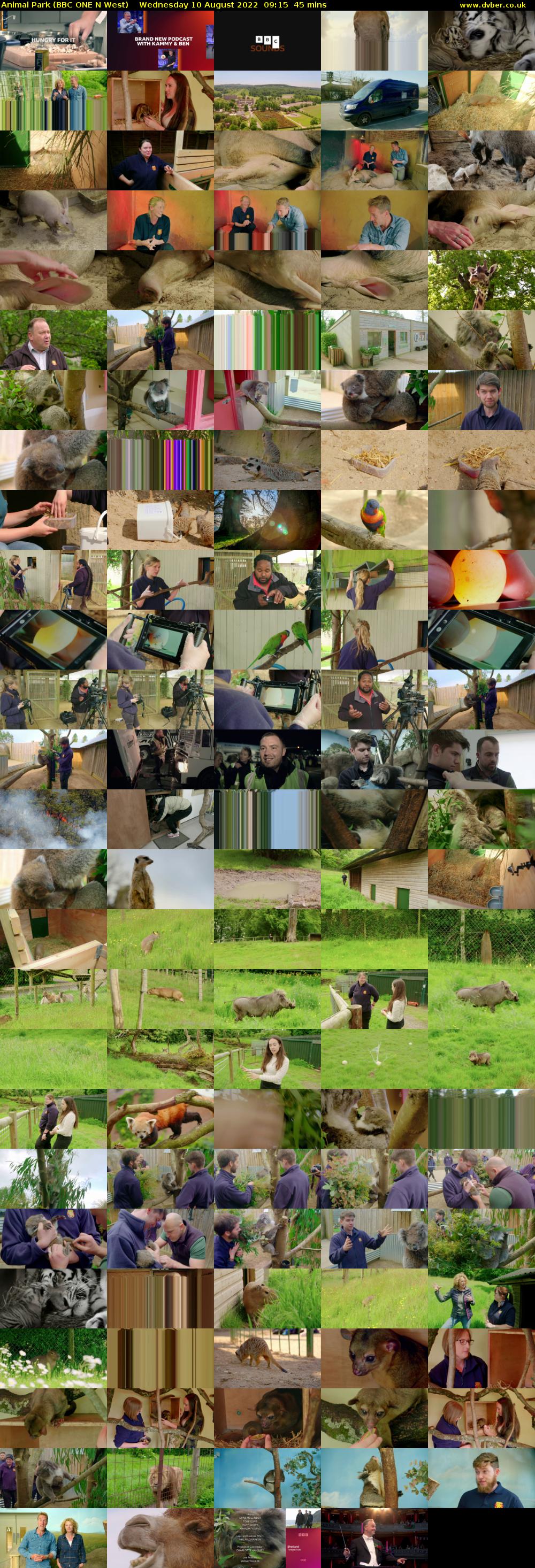 Animal Park (BBC ONE N West) Wednesday 10 August 2022 09:15 - 10:00