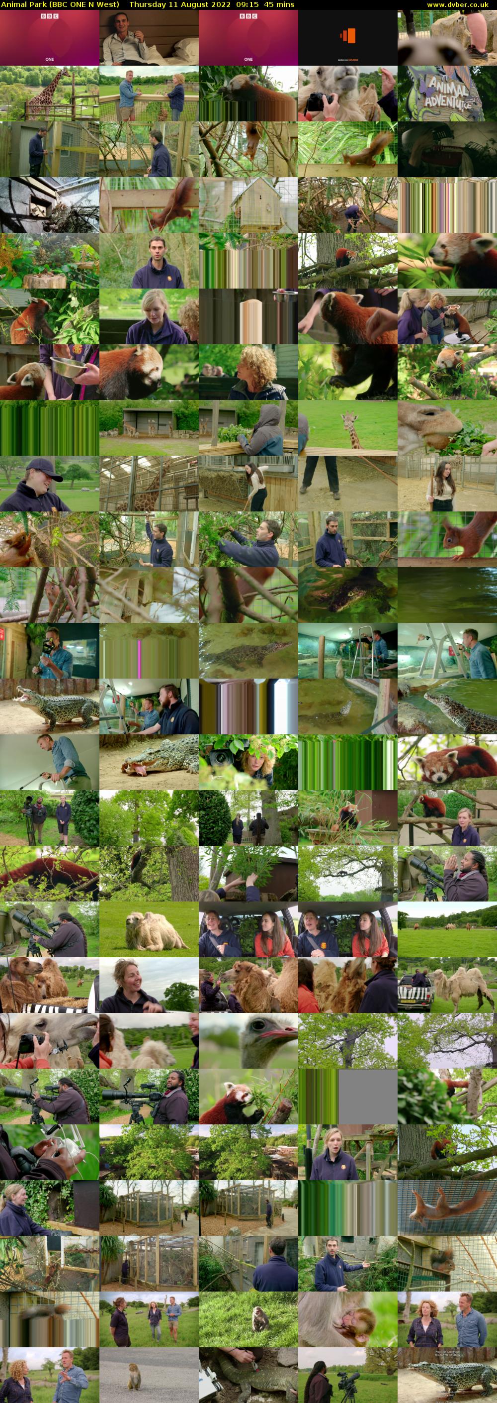 Animal Park (BBC ONE N West) Thursday 11 August 2022 09:15 - 10:00
