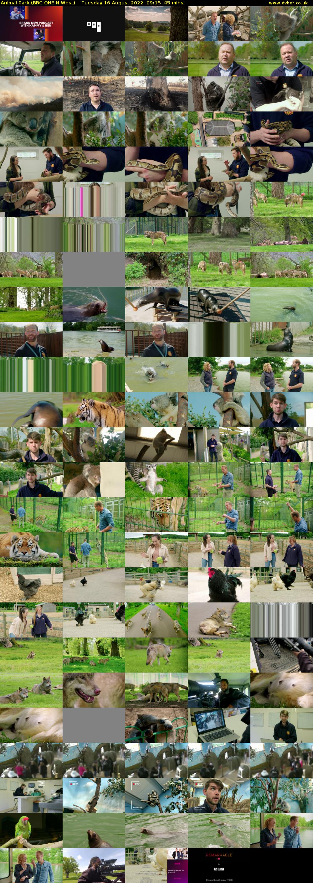 Animal Park (BBC ONE N West) Tuesday 16 August 2022 09:15 - 10:00