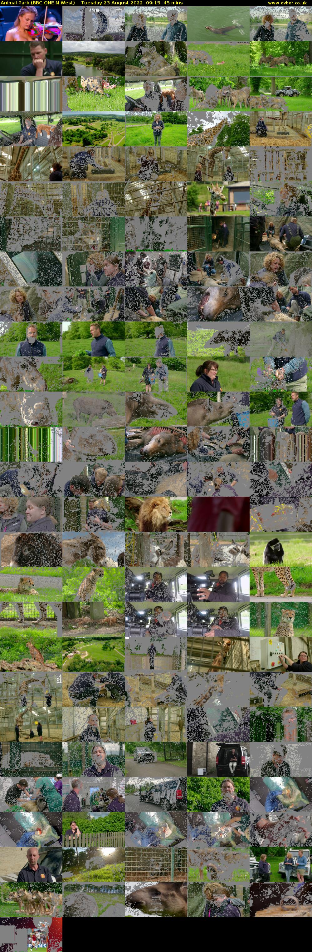 Animal Park (BBC ONE N West) Tuesday 23 August 2022 09:15 - 10:00