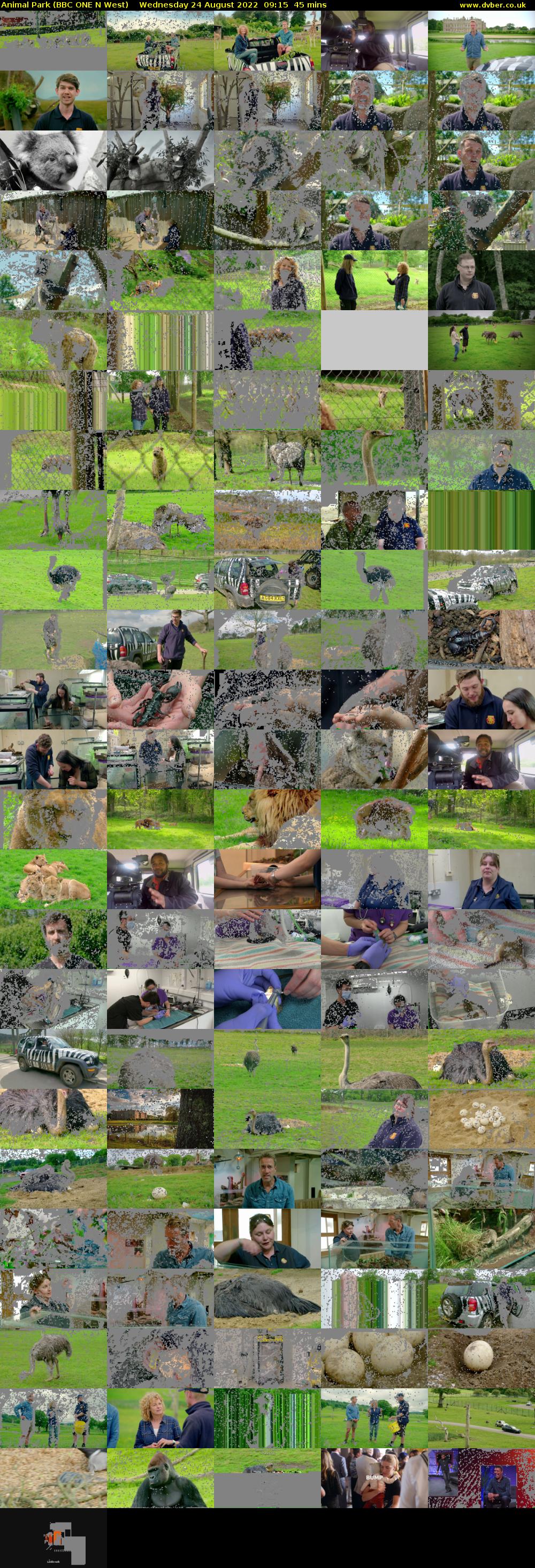 Animal Park (BBC ONE N West) Wednesday 24 August 2022 09:15 - 10:00