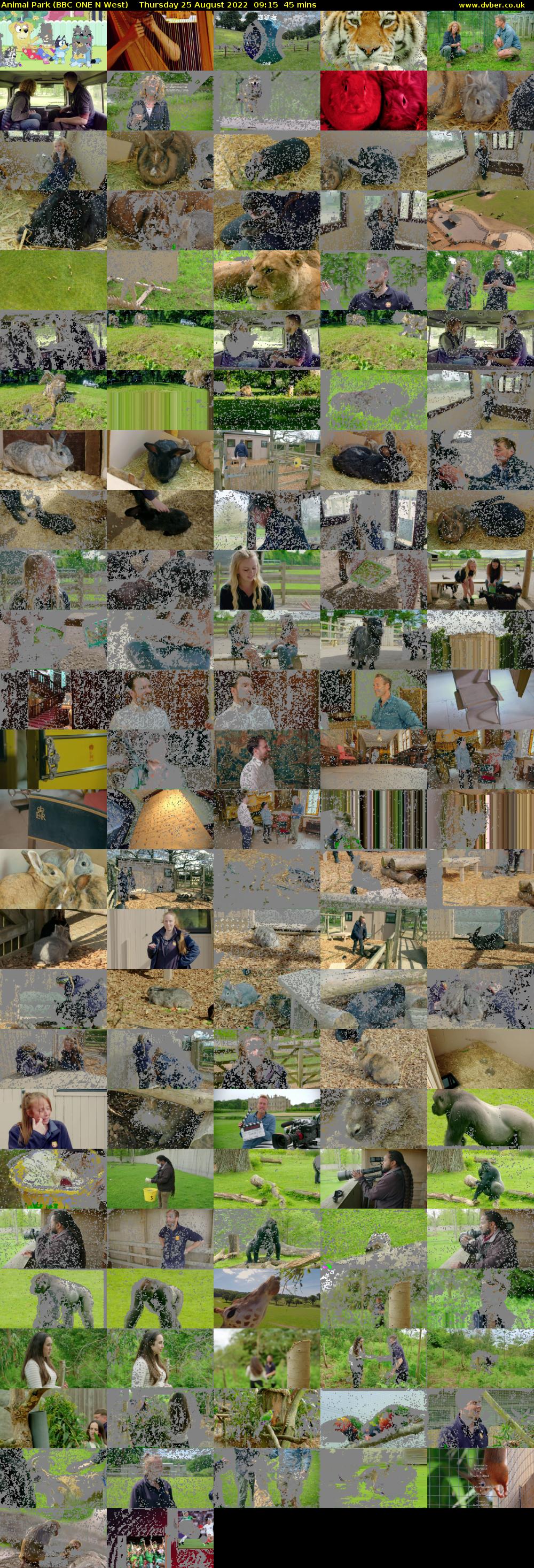 Animal Park (BBC ONE N West) Thursday 25 August 2022 09:15 - 10:00