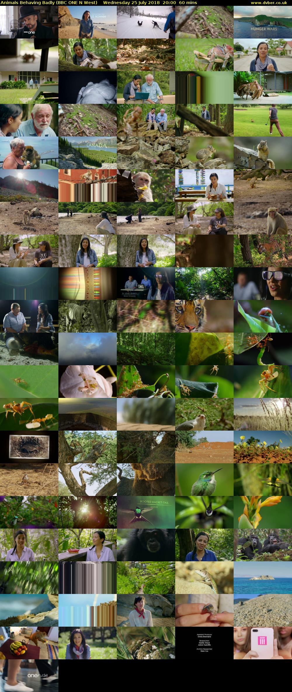 Animals Behaving Badly (BBC ONE N West) Wednesday 25 July 2018 20:00 - 21:00