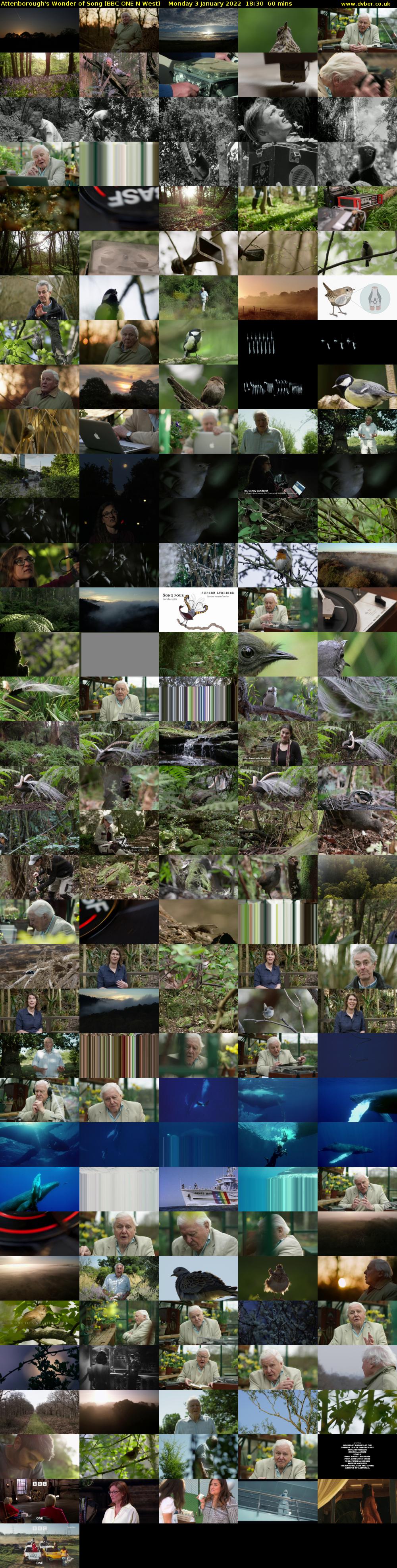 Attenborough's Wonder of Song (BBC ONE N West) Monday 3 January 2022 18:30 - 19:30