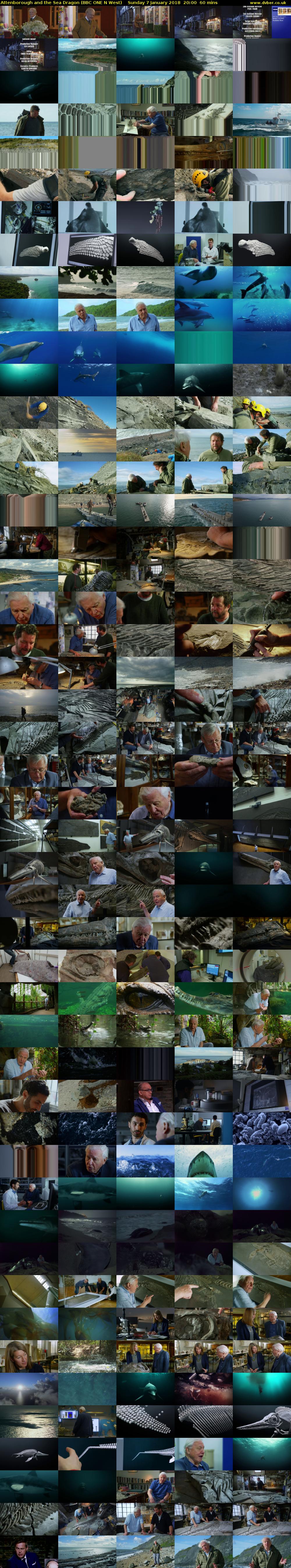 Attenborough and the Sea Dragon (BBC ONE N West) Sunday 7 January 2018 20:00 - 21:00
