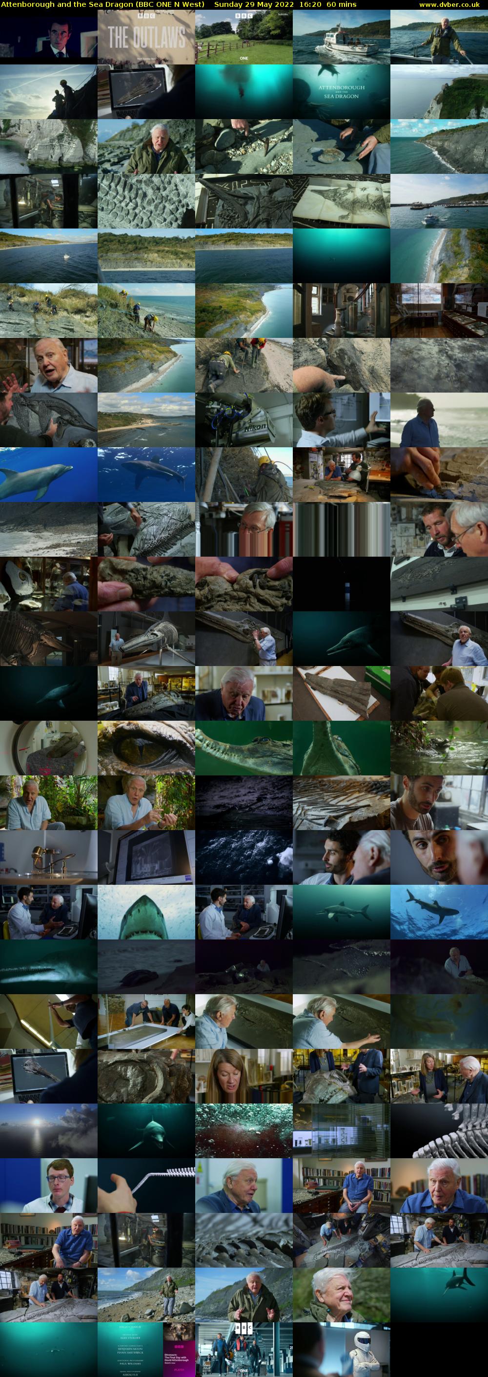Attenborough and the Sea Dragon (BBC ONE N West) Sunday 29 May 2022 16:20 - 17:20