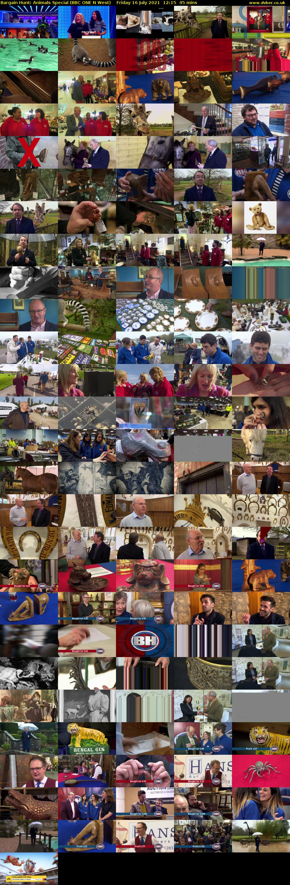 Bargain Hunt: Animals Special (BBC ONE N West) Friday 16 July 2021 12:15 - 13:00