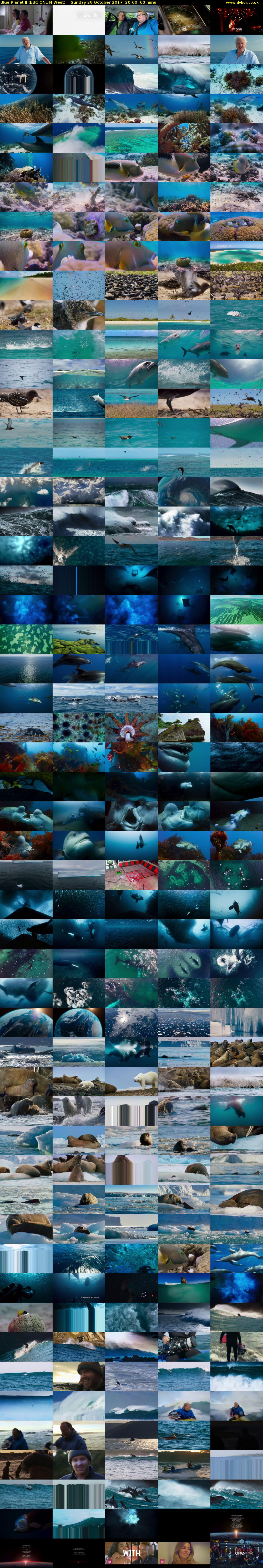 Blue Planet II (BBC ONE N West) Sunday 29 October 2017 20:00 - 21:00