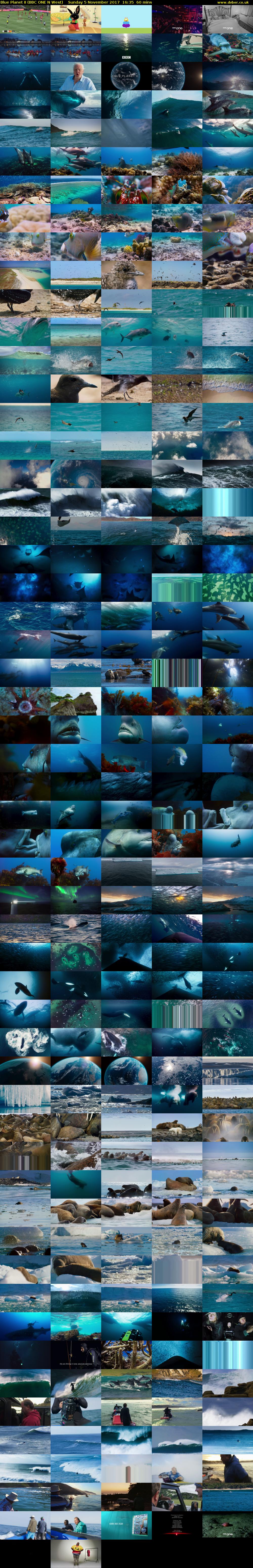 Blue Planet II (BBC ONE N West) Sunday 5 November 2017 16:35 - 17:35