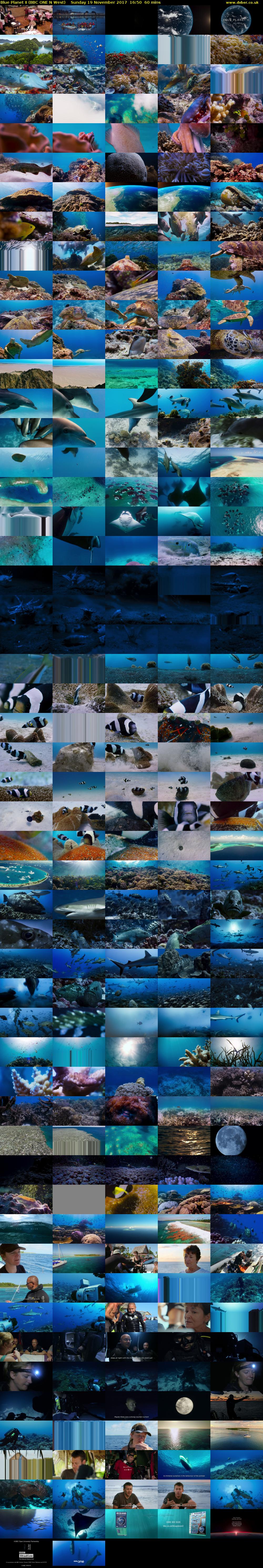 Blue Planet II (BBC ONE N West) Sunday 19 November 2017 16:50 - 17:50