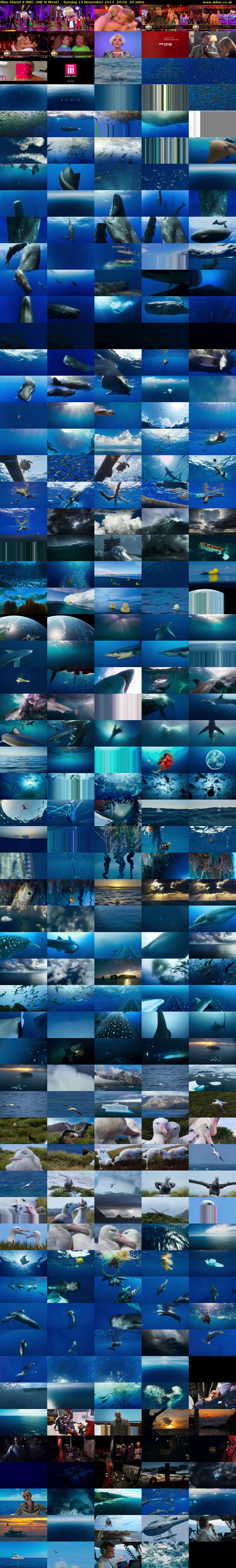Blue Planet II (BBC ONE N West) Sunday 19 November 2017 20:00 - 21:00