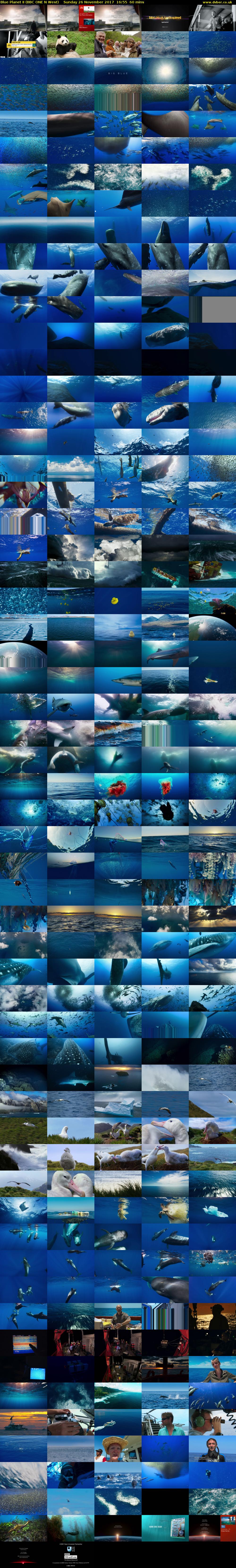 Blue Planet II (BBC ONE N West) Sunday 26 November 2017 16:55 - 17:55