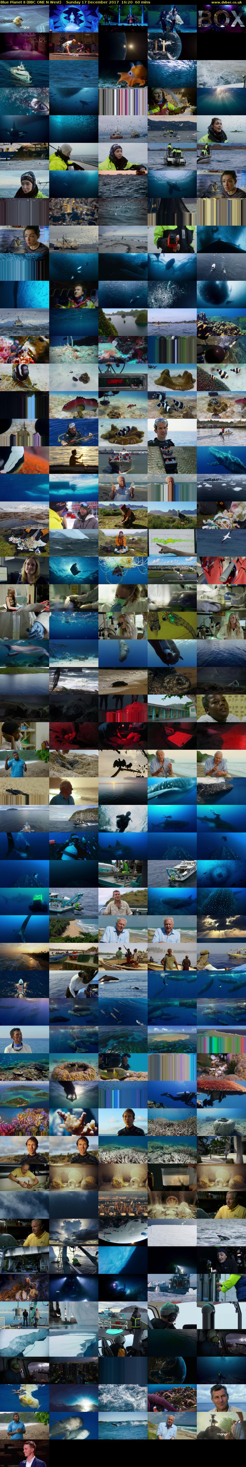 Blue Planet II (BBC ONE N West) Sunday 17 December 2017 16:20 - 17:20