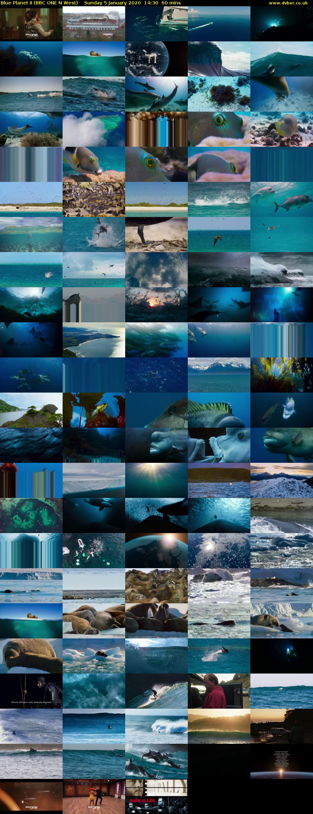 Blue Planet II (BBC ONE N West) Sunday 5 January 2020 14:30 - 15:30