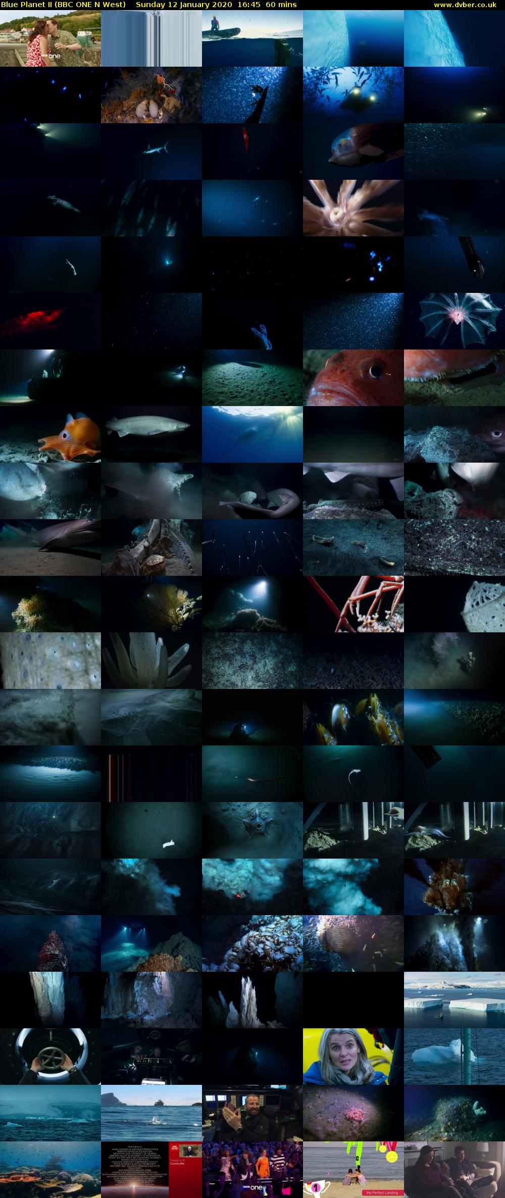Blue Planet II (BBC ONE N West) Sunday 12 January 2020 16:45 - 17:45