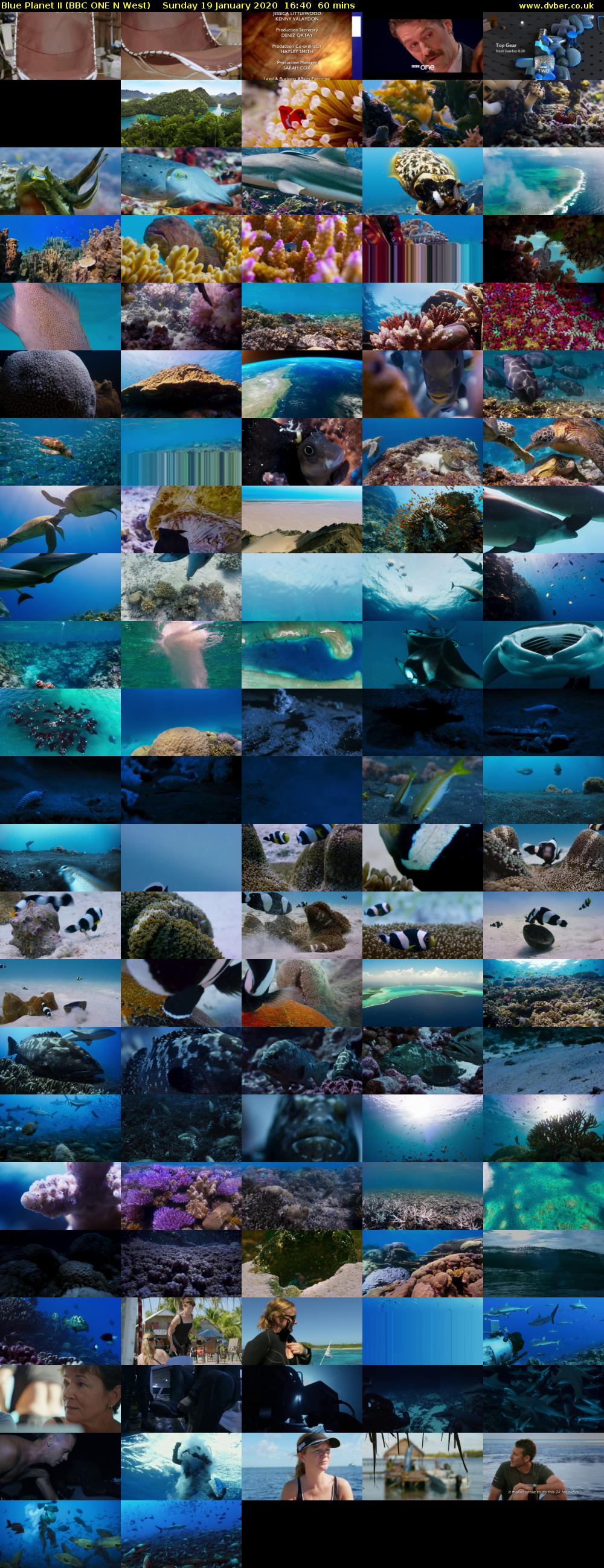 Blue Planet II (BBC ONE N West) Sunday 19 January 2020 16:40 - 17:40