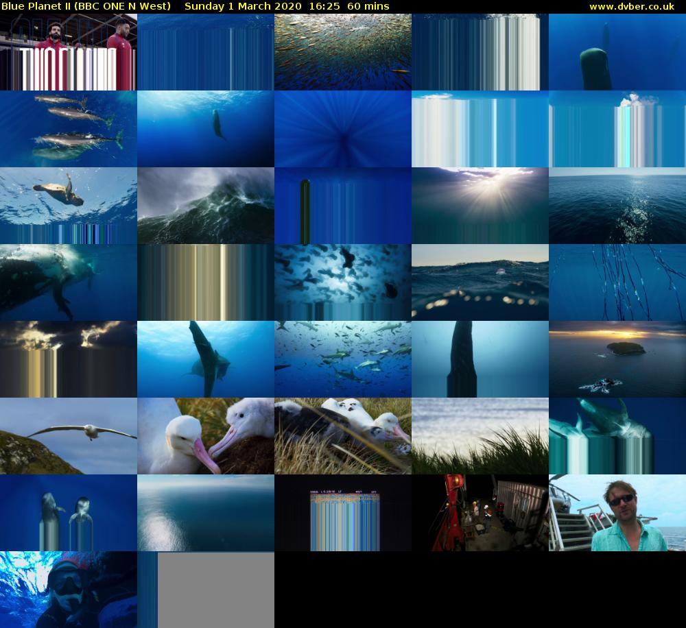 Blue Planet II (BBC ONE N West) Sunday 1 March 2020 16:25 - 17:25
