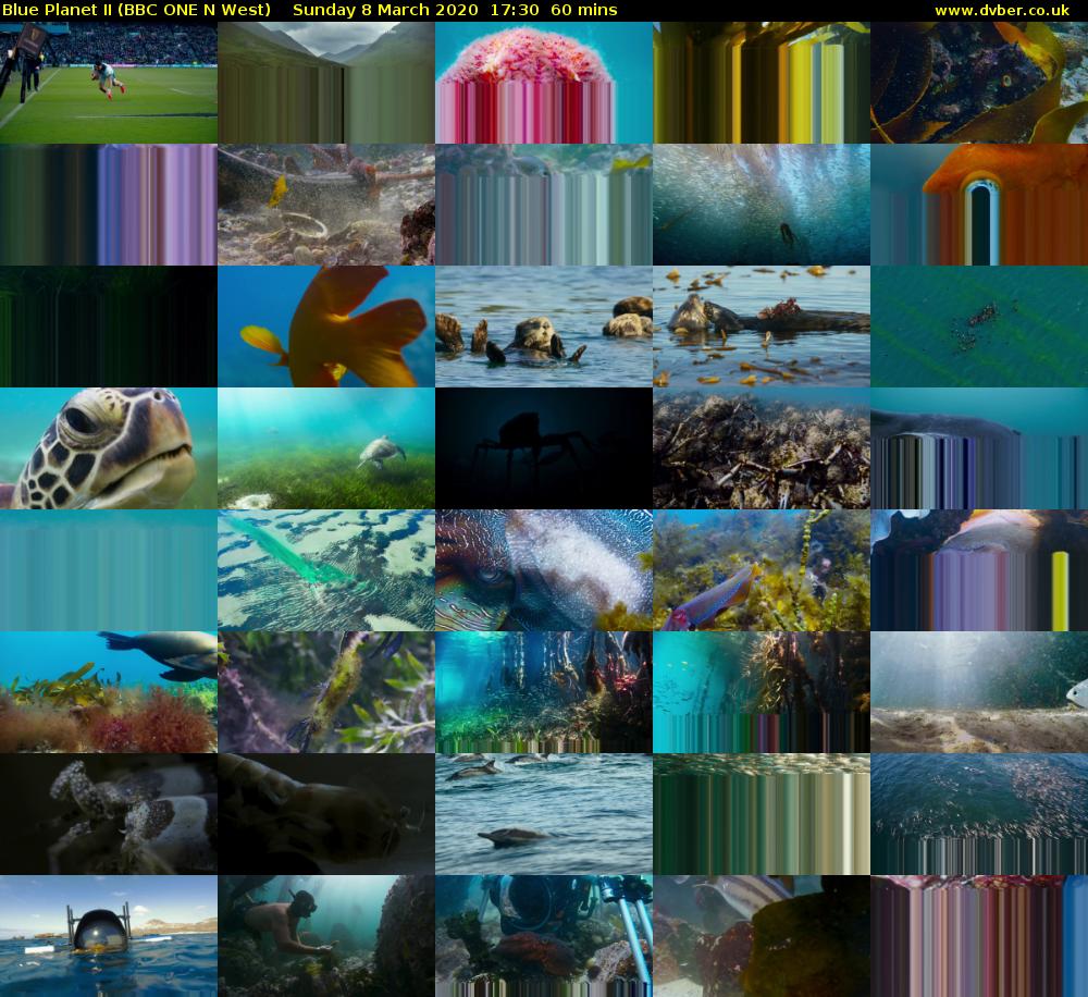Blue Planet II (BBC ONE N West) Sunday 8 March 2020 17:30 - 18:30